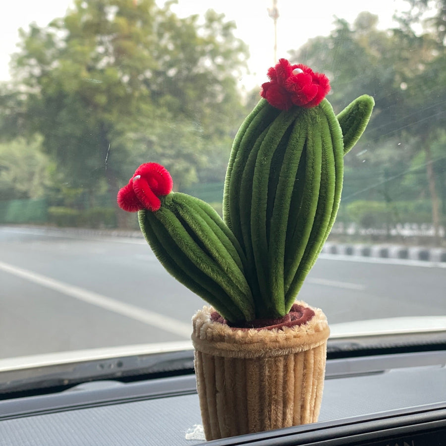 Blooming Cactus Pot