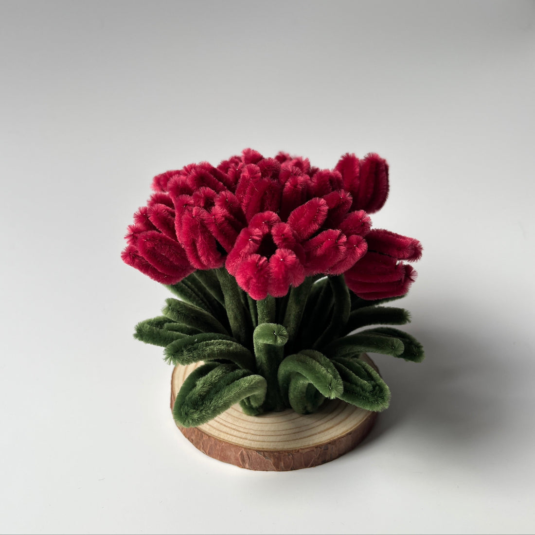 Dancing Tulips